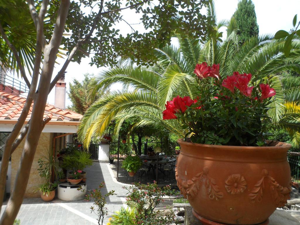 Bed And Breakfast El Dueno Palinuro Eksteriør billede